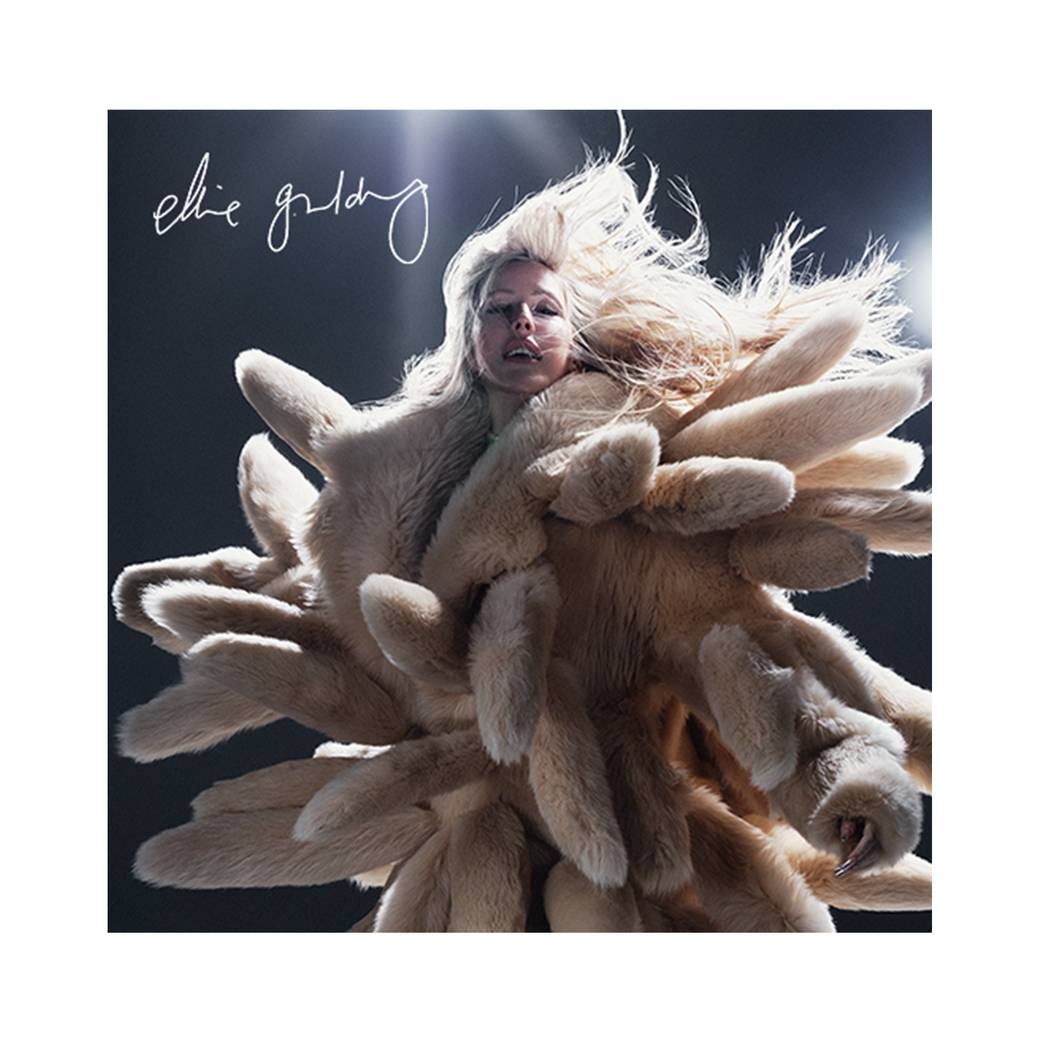 Ellie Goulding - I Know Too Much Signed Print